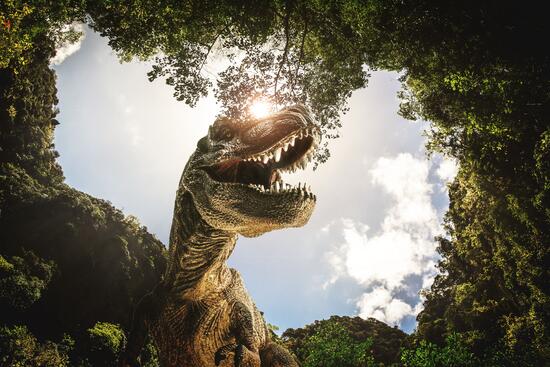 Odkiaľ prišiel T-rex? Predok najslávnejšieho dinosaura odhalený