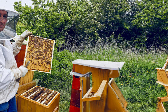 Náš med triumfoval na majstrovstvách sveta v Kodani: Slováci získali viac ako polovicu medailí