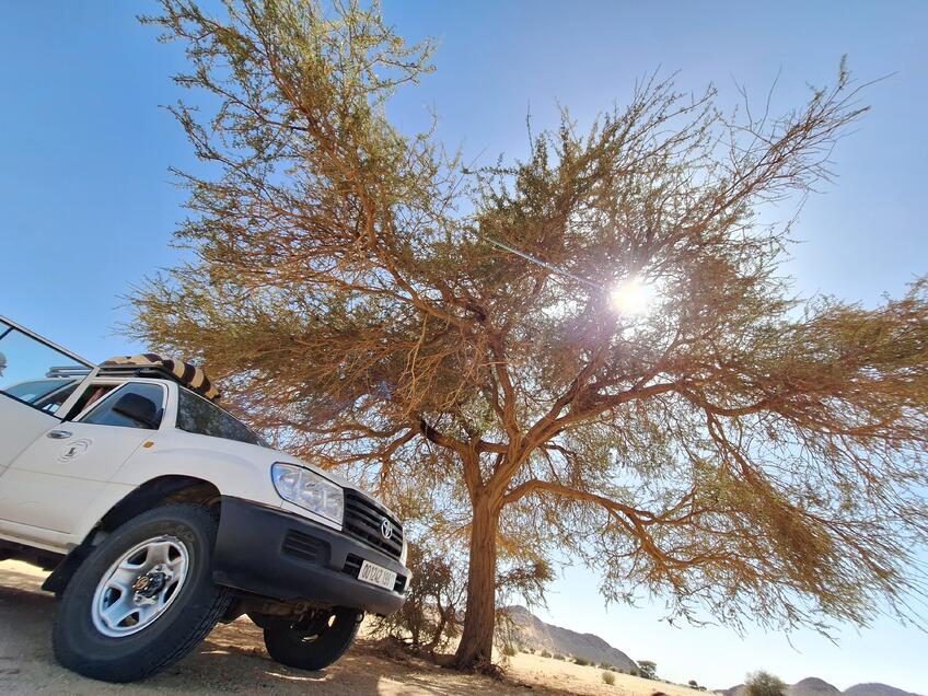 Stretnutie v púšti: Deň s Tuaregmi