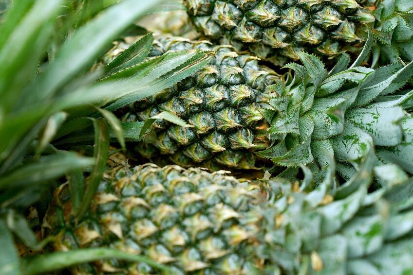 Vitamíny, antioxidanty a energia pre vaše telo.