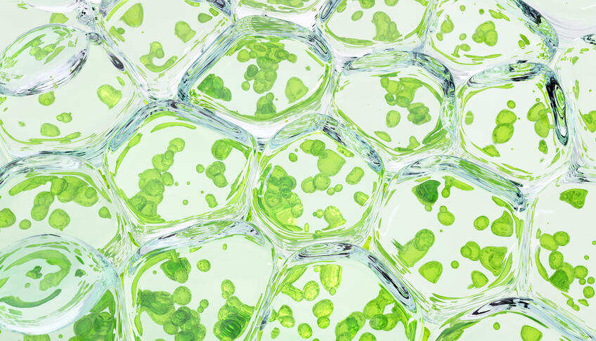 Riasy pomáhajú: Do boja s mikroplastami! 