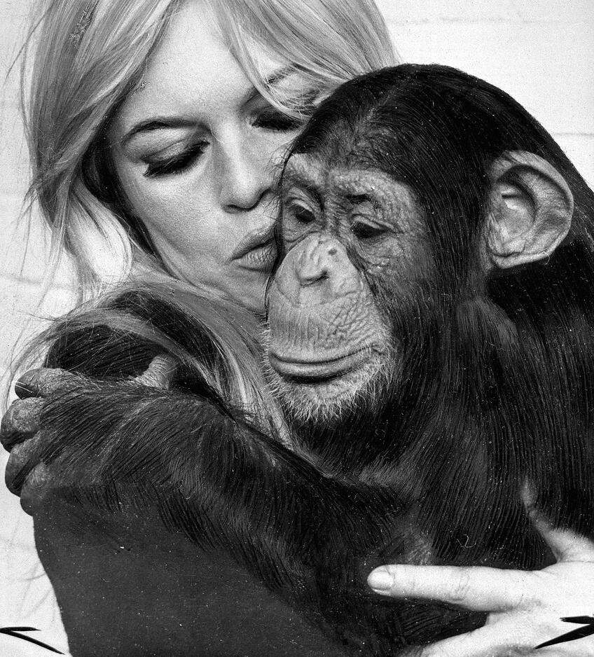 Francúzska herečka a aktivistka Brigitte Bardotová († 91): Svet oplakáva legendárnu BB