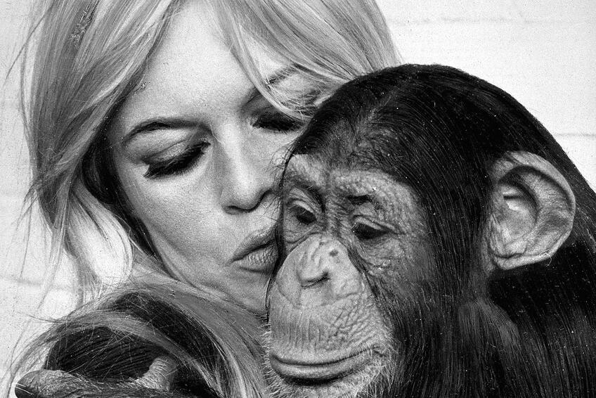 BRIGITTE BARDOT: 28. 9. 1934 - 28. 12. 2025.