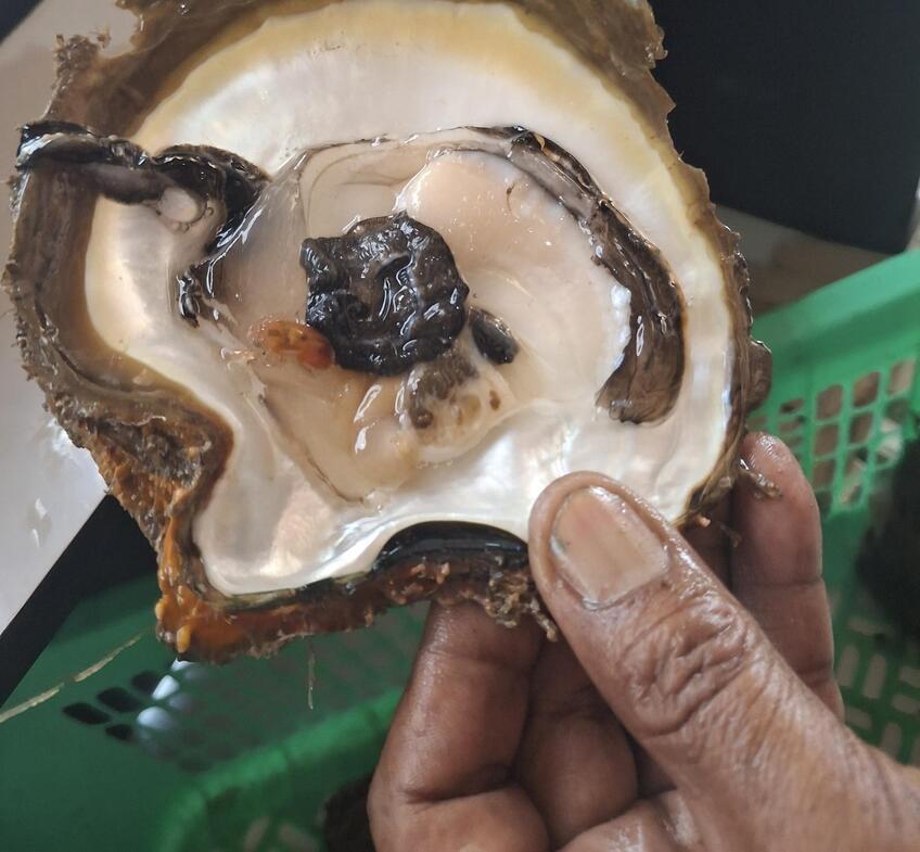 Lombok – ostrov tradícií: Tyrkysová voda a nedotknutá príroda