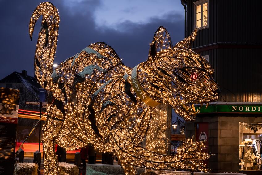 MAČKA: Na Islande objavuje strašidelná mačka menom Yule.
