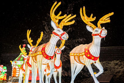 Čakajú na vás kolotoče, svetelné sochy a špeciálny program.