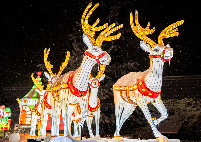 Objavte Winter Wonderland: Čarovné Vianoce s kolotočmi, svetelnými sochami a skvelým programom!