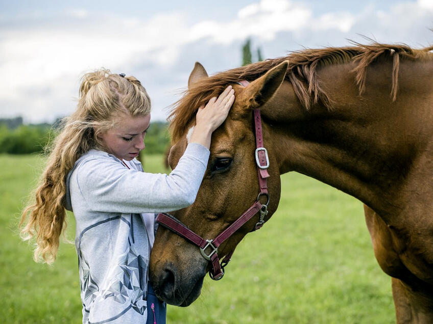 Športové hviezdy a ich štvornohí parťáci: Kto čaká športovcov doma po tréningu?