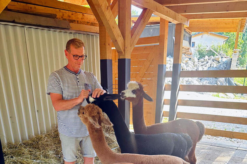 FARMÁR: Moderátor vyštudoval poľnohospodársku strednú školu a na svojej farme chová alpaky.