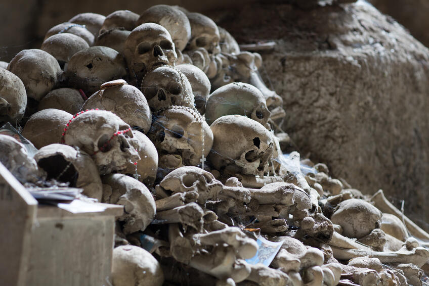 ZOMRELI MILIÓNY ĽUDÍ: V minulosti spôsobila cholera veľké pandémie a epidémie.