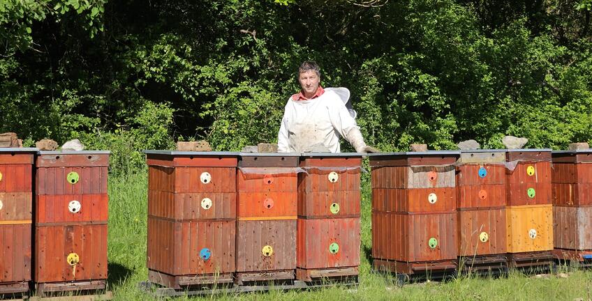 Včelári bijú na poplach: Pripravte si peňaženky! Málo medu, vysoké ceny
