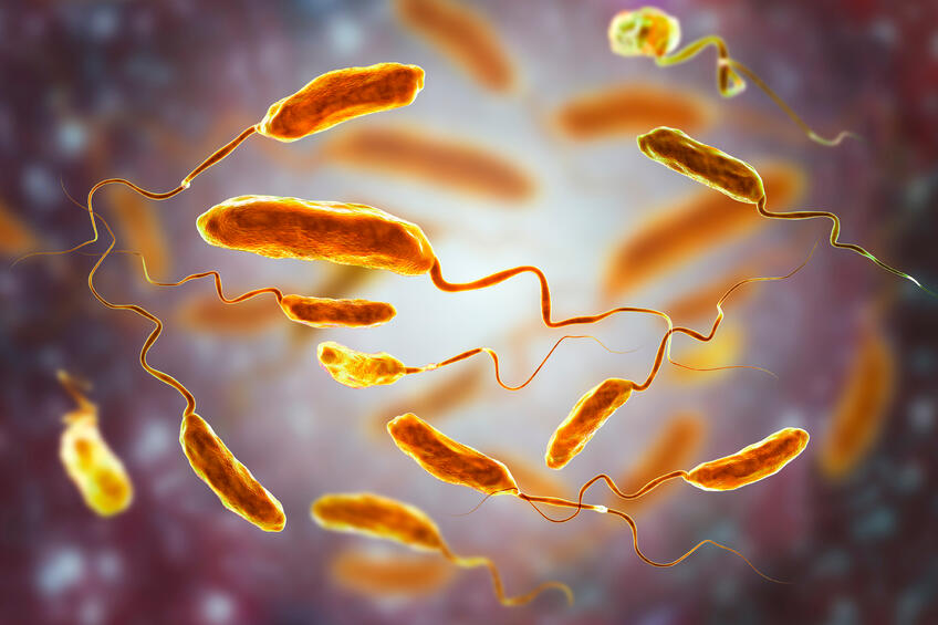 V susednom Poľsku sa objavila cholera: Zabudnutá hrozba je späť!