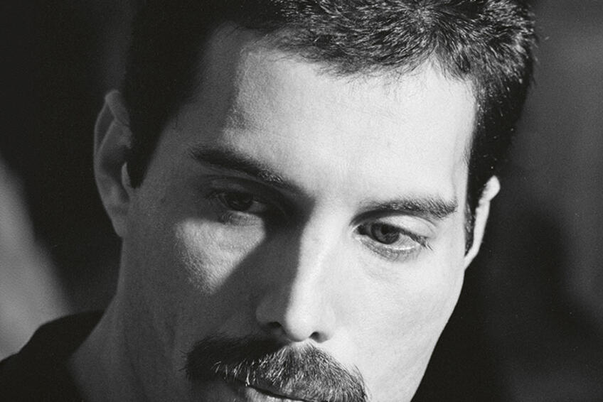 S láskou Freddie - to sú denníky Freddieho Mercuryho podané veľmi pútavým štýlom. 