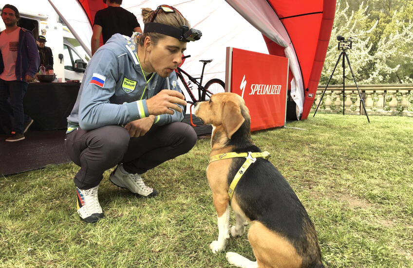 Športové hviezdy a ich štvornohí parťáci: Kto čaká športovcov doma po tréningu?