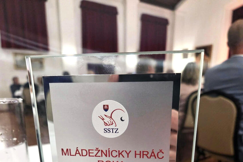 DARÍ SA MU: Patrí medzi naše najvýraznejšie športové talenty.